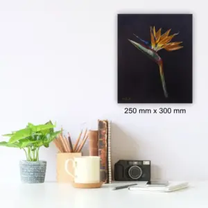 Strelitzia by Julie Tugwell Art, Oil on Board, 250 mm x 300 mm