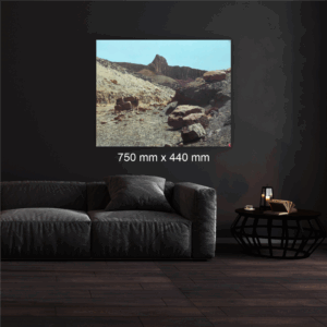 399N by James Mooney, 700 mm x 560 mm