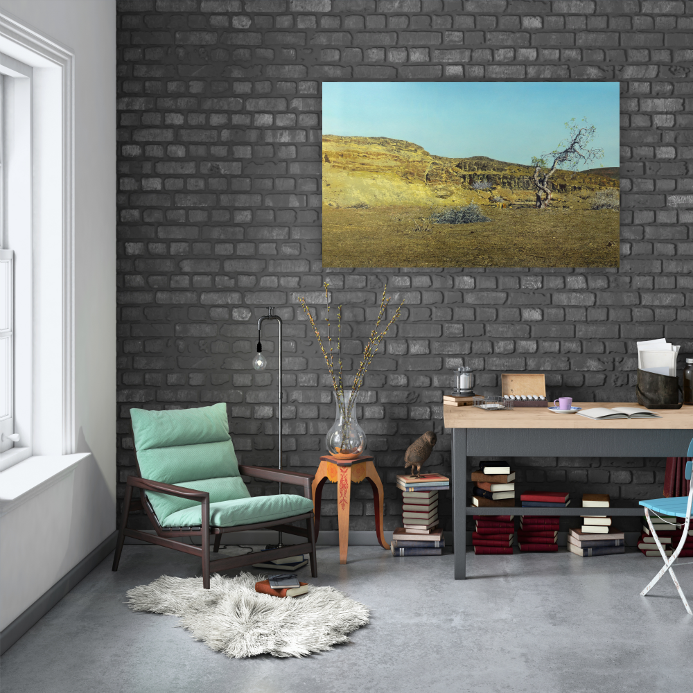 Landscapes