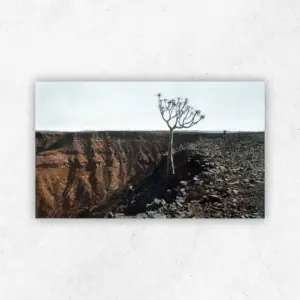 Namibian Canyon Landscape 386 — Oil on Board by James Mooney