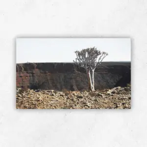 Namibian Canyon Landscape 387 — Oil on Board by James Mooney
