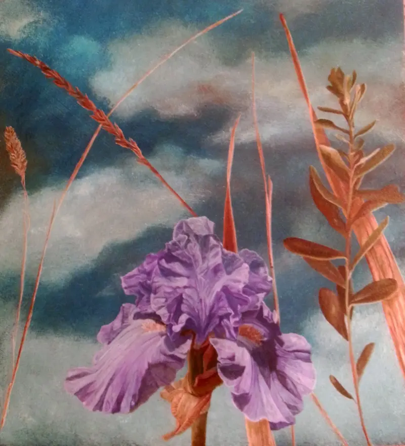 Purple Iris — painting by Julie Tugwell